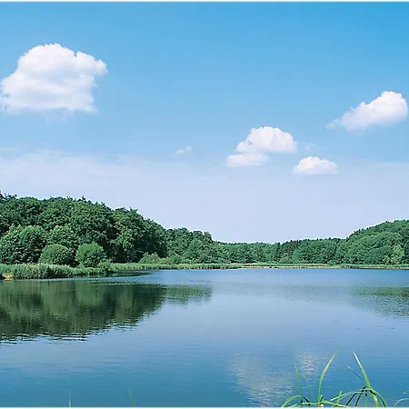 公寓 Gemuetliche Ferienresidenz Mit Meerblick Ueber Wundervolle Luebecker Bucht *